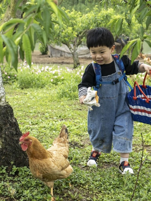 五一嗨翻烏村！超多活動等你來