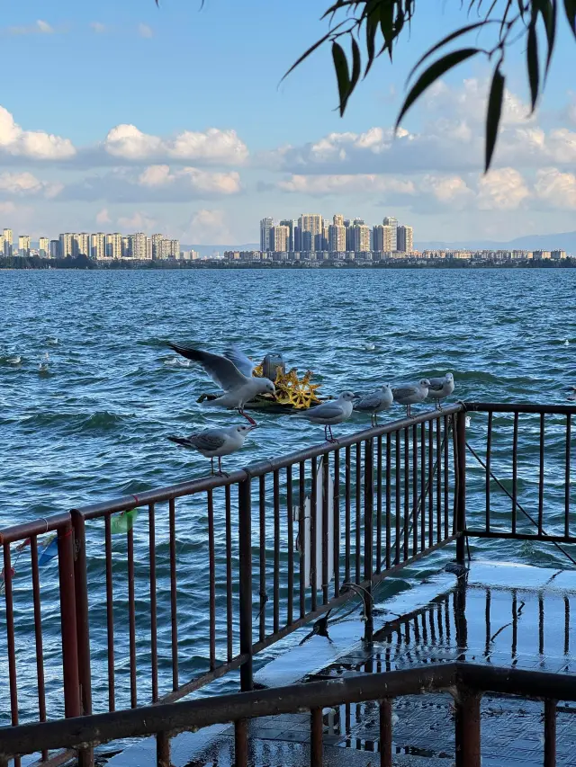 Two People's Eight-Day Seven-Night Yunnan Tour | Travel Guide