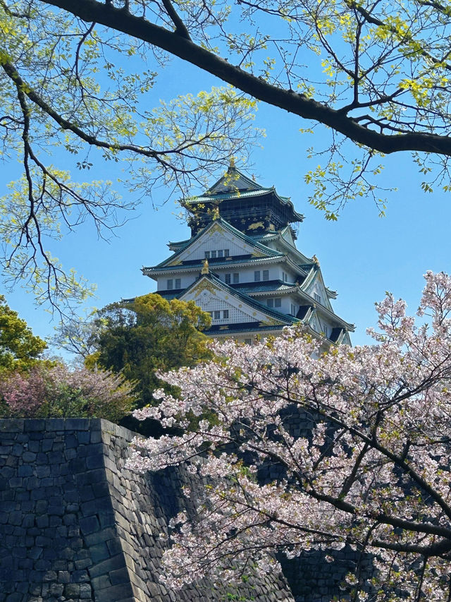 🌸四月大阪城公園，櫻花絕美之境
