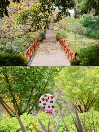 成都寶藏公園，適合一家大細嚟散步、飲茶