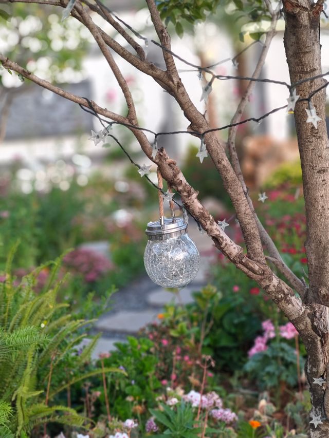 懸崖花園：白族民居與法式情調的完美邂逅
