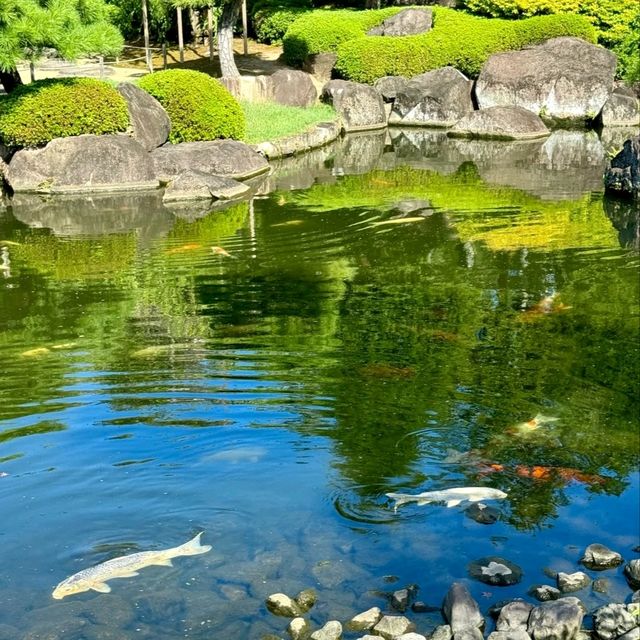 關西秘境！姬路城旁的日式園林天花板🌿
