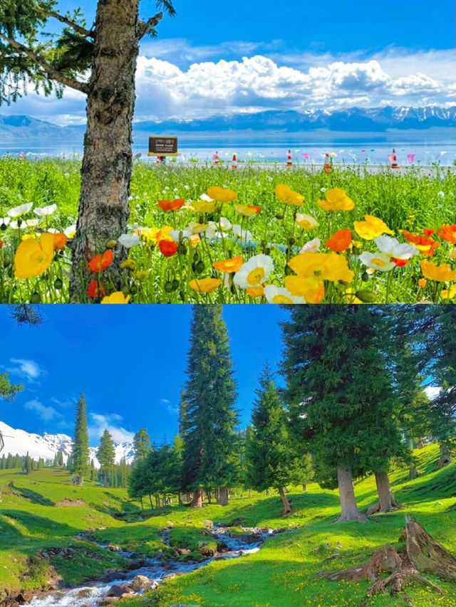 伊犁已回夏季必去嘅避暑勝地，躲入25°C嘅夏天