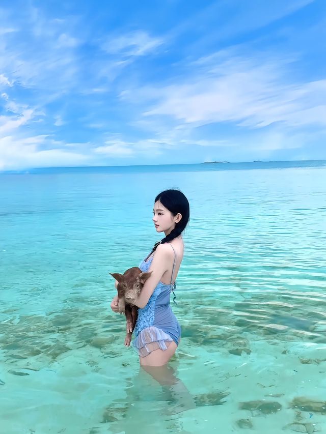 巴哈馬日記｜仲未同小豬一齊游水嘅你