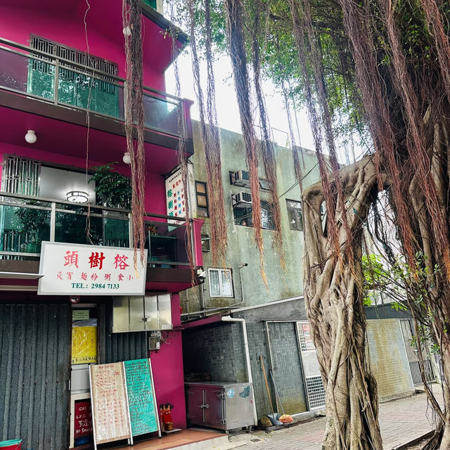 澳門跨境香港打卡地攻略！衝進梅窩！藏在離島的避世慢時光🌊