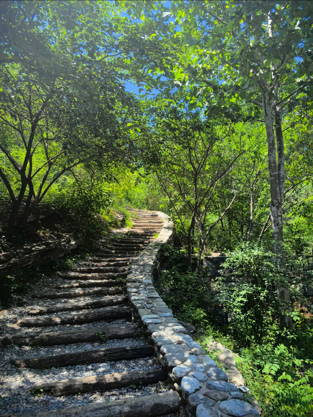 Pofeng ridge trails 