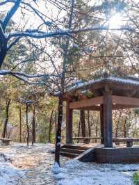 洛陽2日遊｜小長假玩轉古都攻略