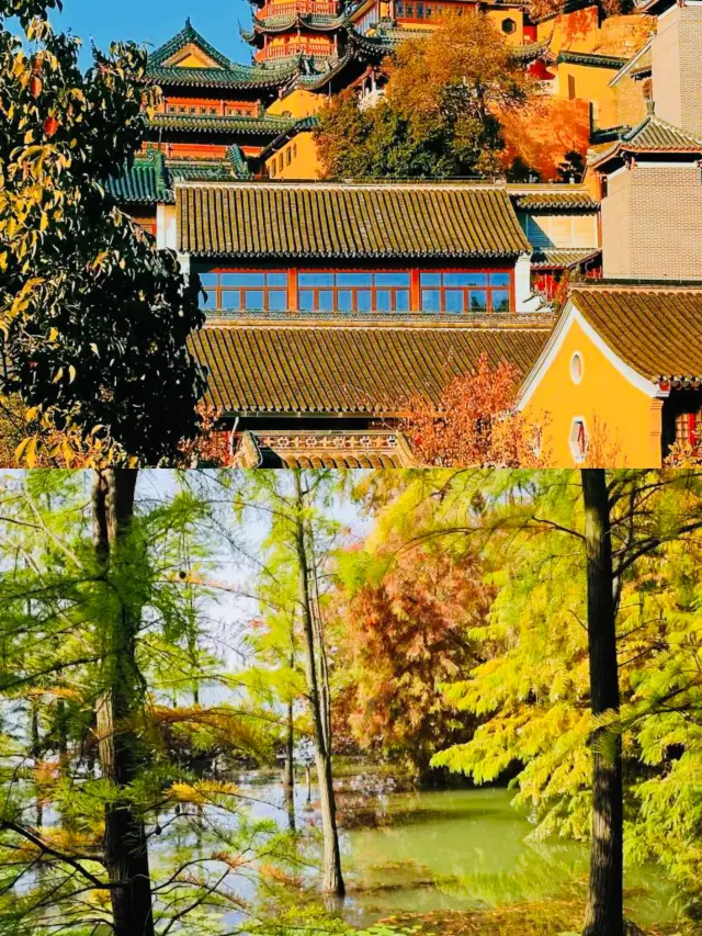 【진장 심층 여행】시가 사랑한 천년 고도! 2일 1박 완벽 가이드!