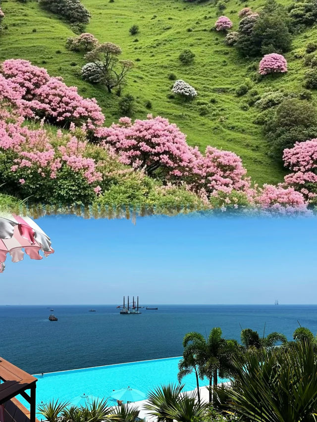 未去過國外！！廣深周邊Top級玩水天堂