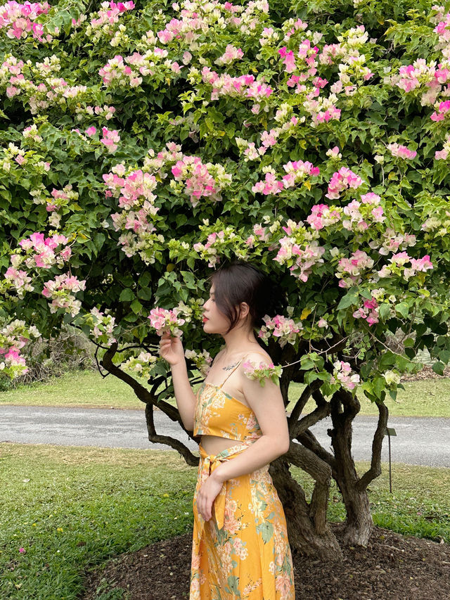 西雙版納三天旅遊攻略行程分享