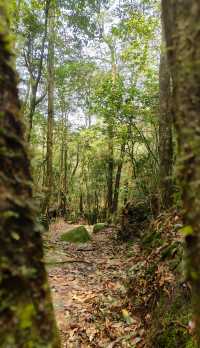 漳州貢鴨山森林公園：徒步探尋自然秘境