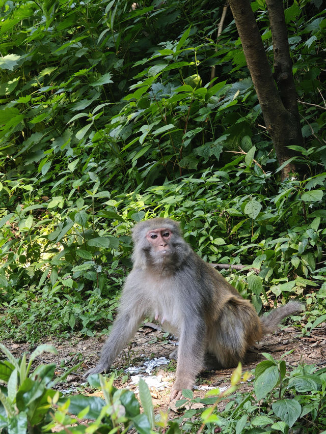 貴陽旅遊攻略
