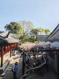 泰州喬園丨呢座500歲嘅小眾園林，點解會被遺忘！