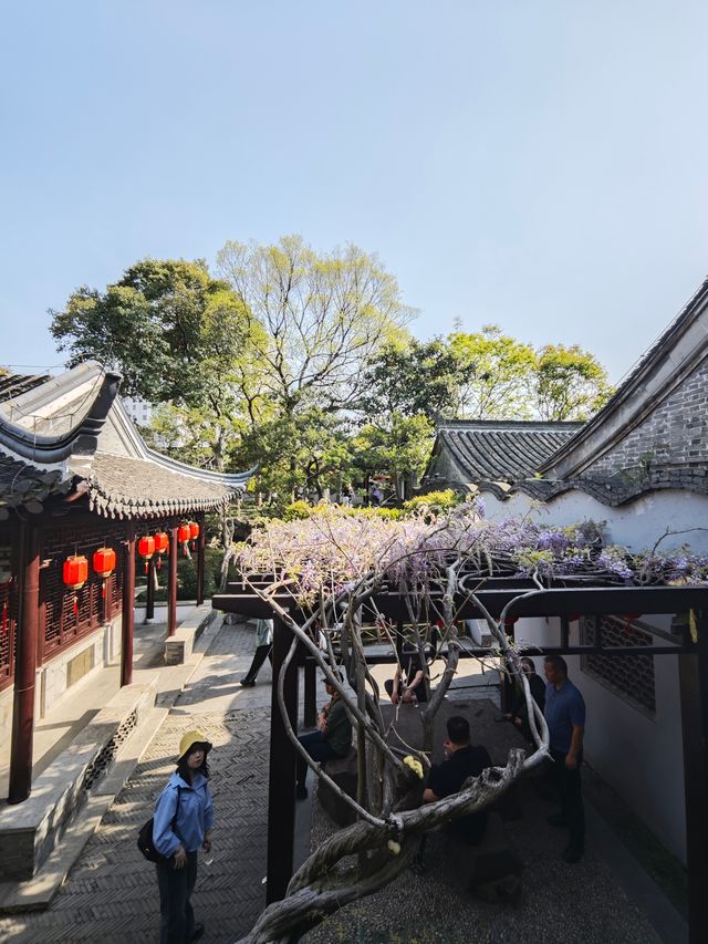 泰州喬園丨呢座500歲嘅小眾園林，點解會被遺忘！