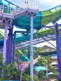 廣州長隆水上樂園🎢 玩到不想走