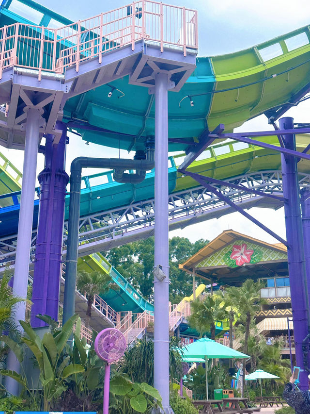 廣州長隆水上樂園🎢 玩到不想走
