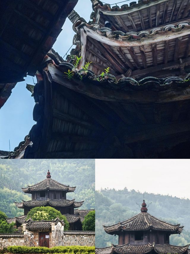 呢度一定係衢州最冷門保存得最好嘅景點之一！！！