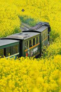救命！我又搵到個冷門又有味道嘅縣城：四川樂山犍為