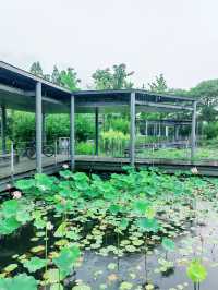 錢江三橋濱江東側，江景壯闊，步道優美
