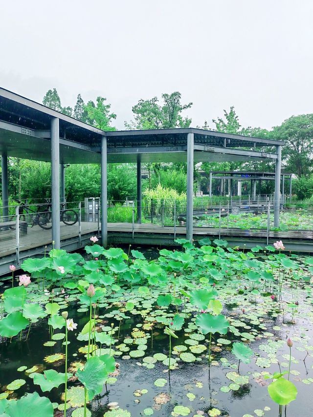 錢江三橋濱江東側，江景壯闊，步道優美