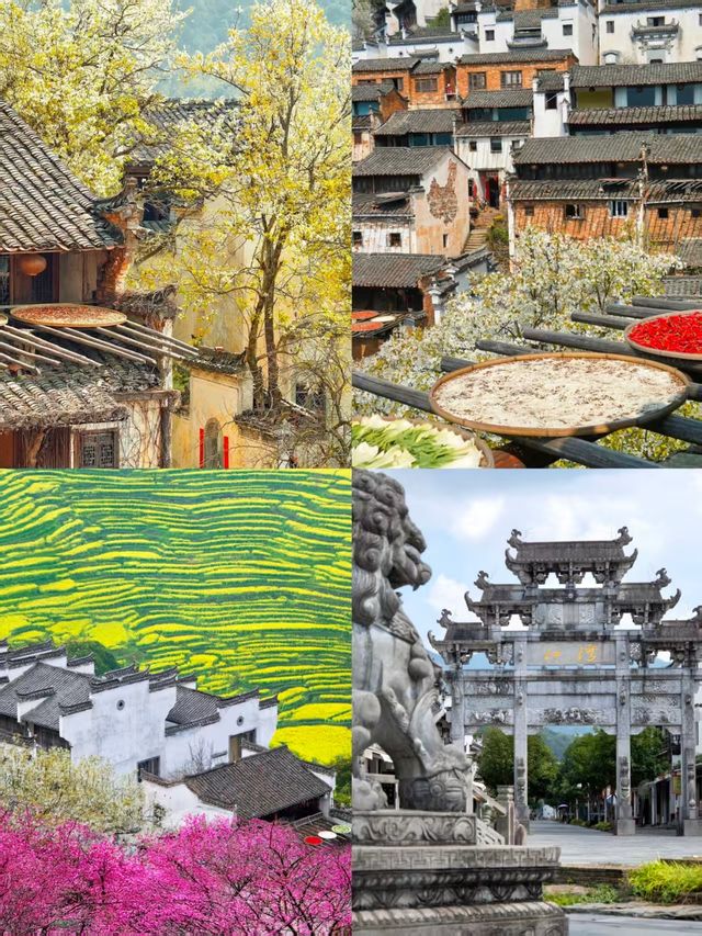 婺源已回，講啲真話啦
