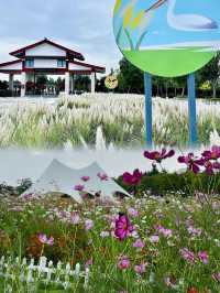 玉環親子遊玩寶藏地！漩門灣國家濕地公園！