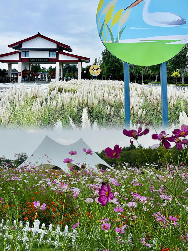 玉環親子遊玩寶藏地！漩門灣國家濕地公園！