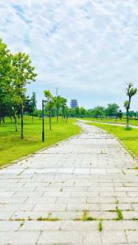 夏日暢遊煙台牟平沁水河口國家濕地公園