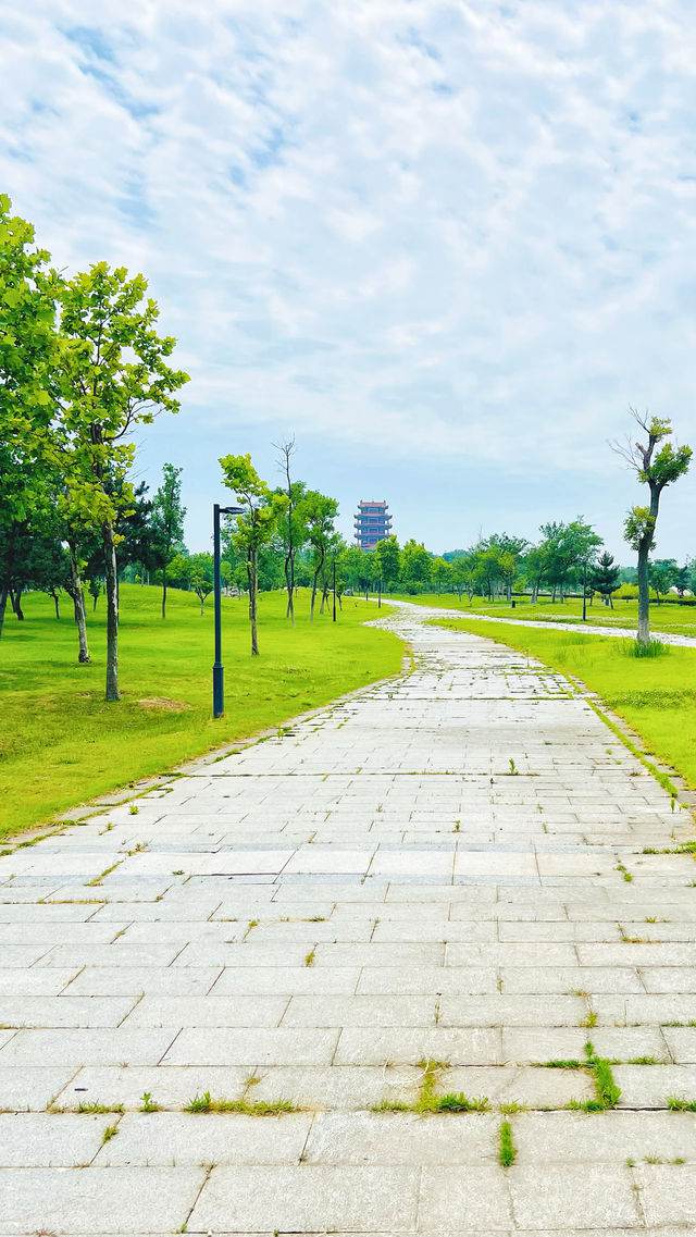 夏日暢遊煙台牟平沁水河口國家濕地公園