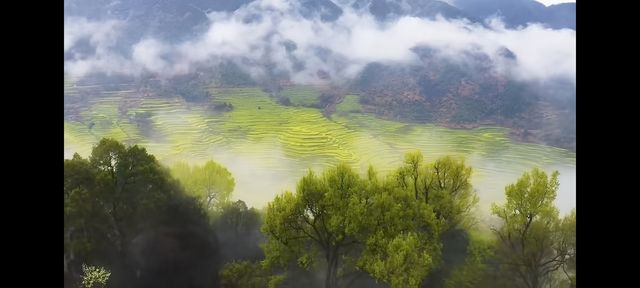 邂逅篁嶺，赴一場夢幻的田園之約   踏入篁嶺，彷彿穿越時空，走進了一幅被歲月珍藏的江南畫卷。連綿的山