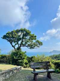 🌊香港行山必去！清水灣郊野公園隱藏版美景全攻略