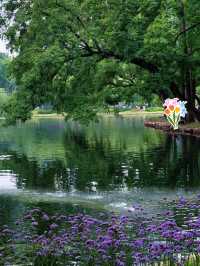 上海共青森林公園｜城市綠野仙蹤の一日漫遊指南   基礎資訊   地址：楊浦區軍工路2000號