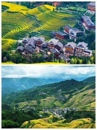 Just returned from Longji Rice Terraces, here are some hard truths