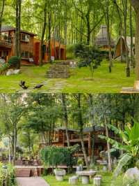 暑期湊仔新玩法！住溫泉鳥巢，摘桃釣蝦整漆器～