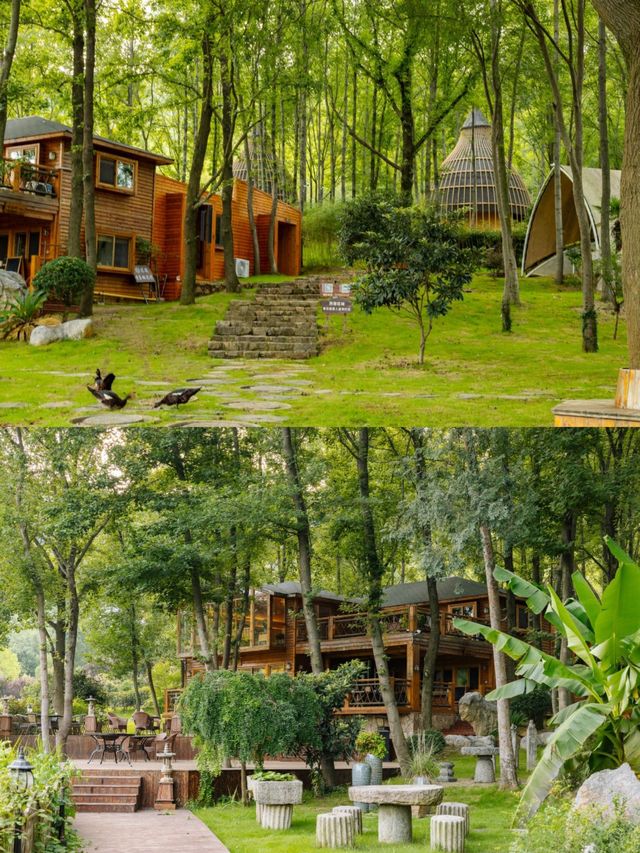 暑期湊仔新玩法！住溫泉鳥巢，摘桃釣蝦整漆器～