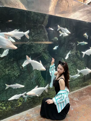 水底世界靚到似幅畫