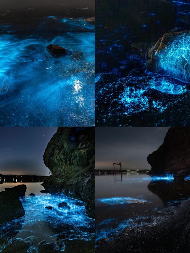 大連 | 北方浪漫之都，山海之間的溫柔告白 