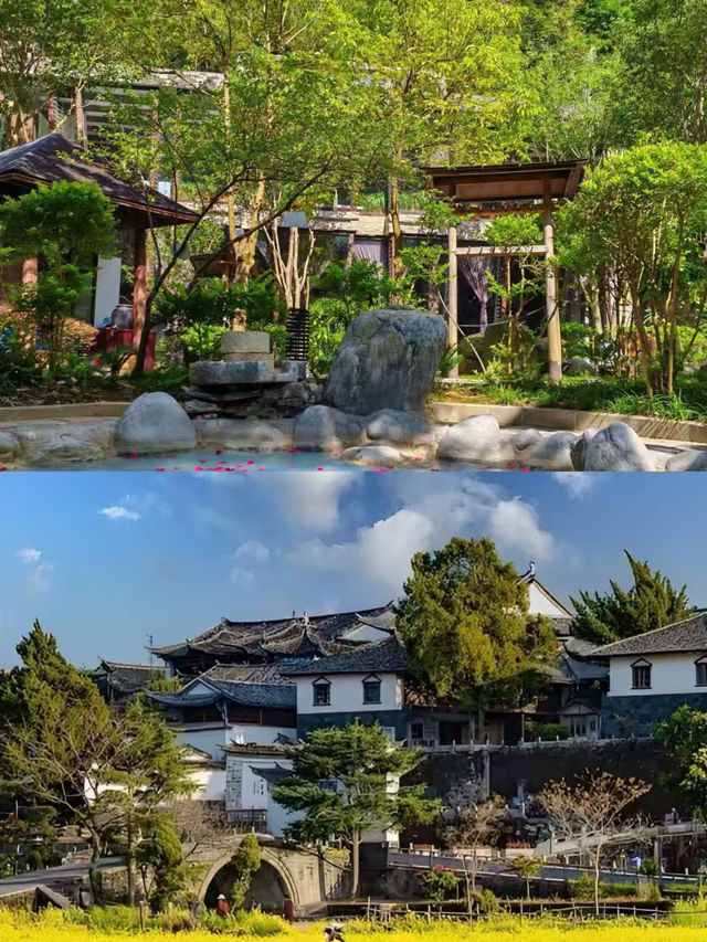 騰沖歸來，有啲嘢唔知講唔講好。