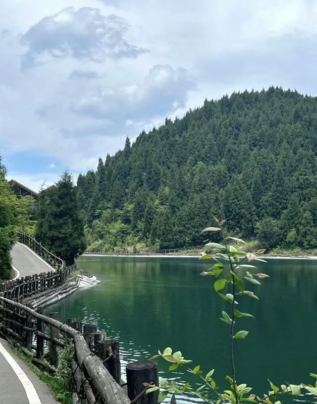 19℃嘅森林拒絕冷氣：武陵山森林公園
