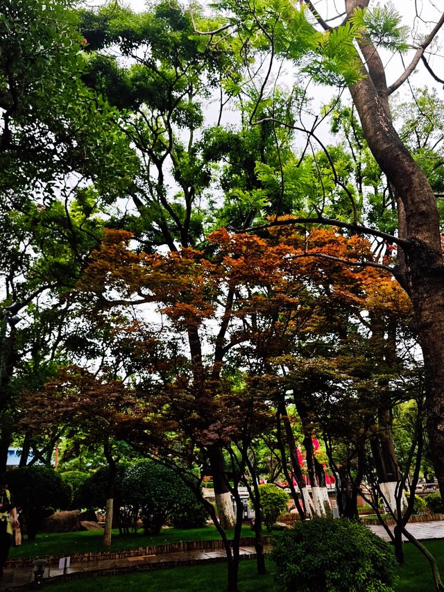 雲南之旅