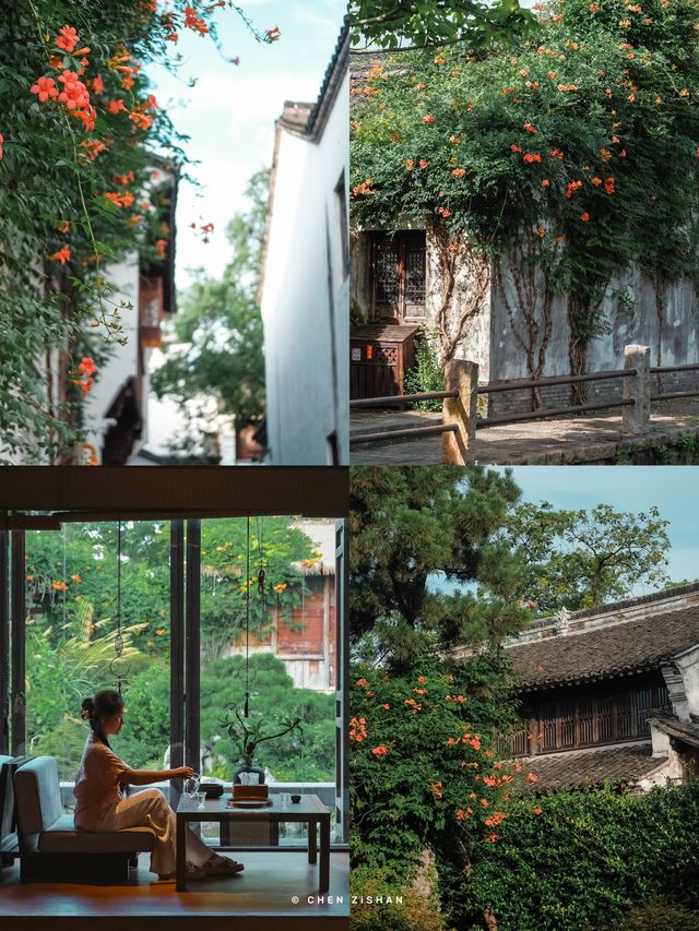 這裡，滿足咗我對夏日江南水鄉嘅所有幻想