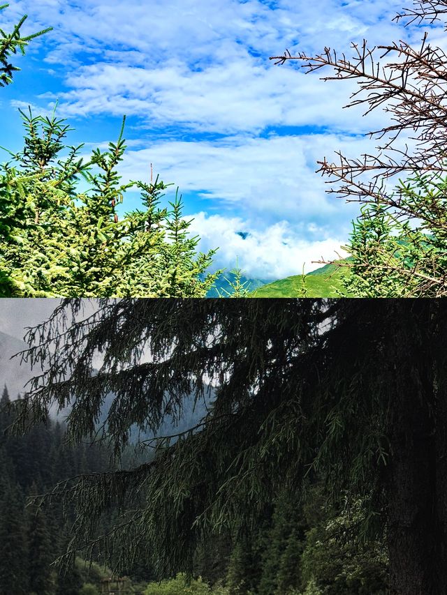 成都出發兩小時去松潘過20度的夏天