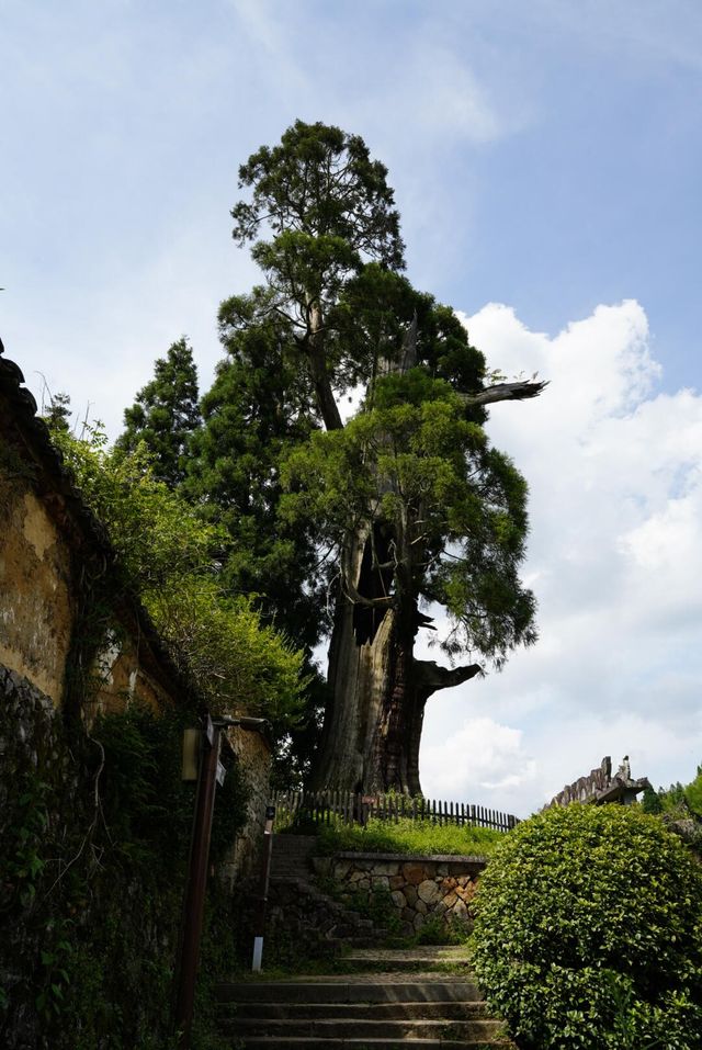古建迷必到時思寺