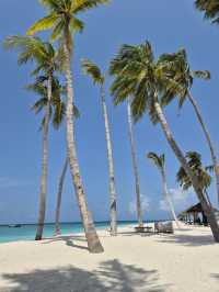 Incredible Stay at Veligandu Resort
