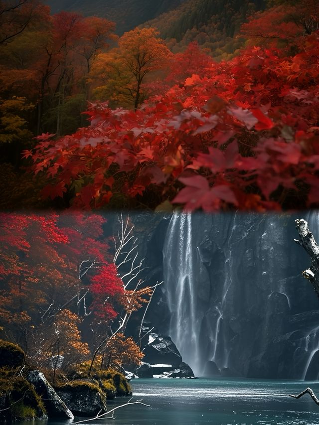 秋天嘅長白山，先係東北賞秋嘅終極浪漫