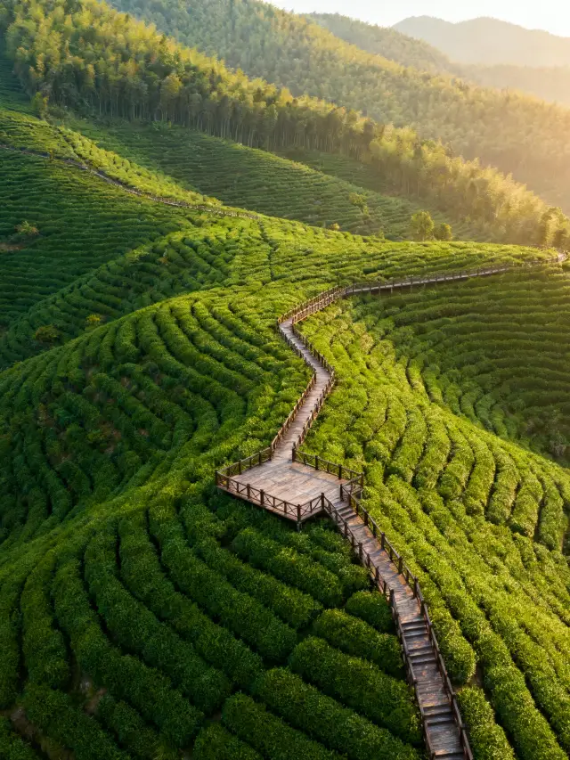 Crazy hidden spots around Hangzhou unlocked for 150 RMB per person to visit 3 "less crowded and beautiful" secret places