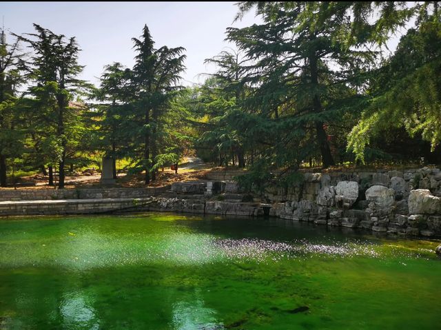 濰坊旅遊攻略 濰坊旅遊攻略