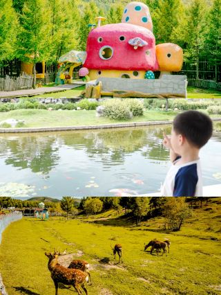 National Day Family Trip to Colorful Forest Fun Guide