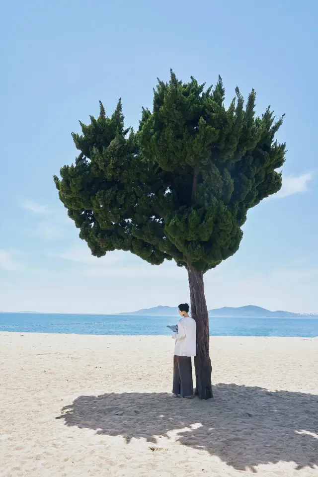 If you only have one day in Qingdao, it is recommended to follow this exact route. 