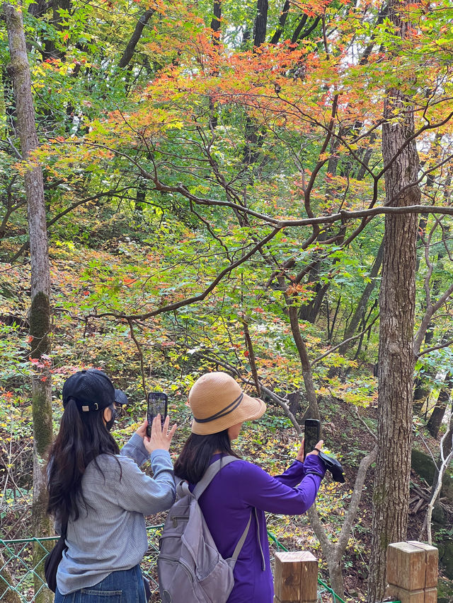 雙橋溝~遼東賞楓寶藏地 雙橋溝~遼東賞楓寶藏地